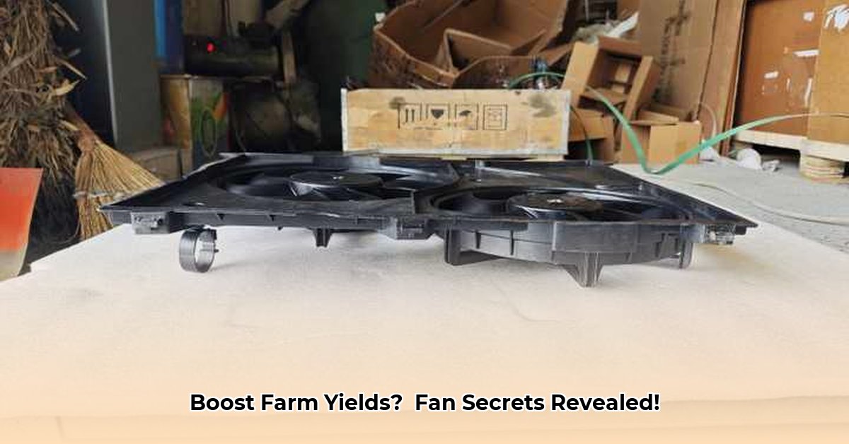 tractor-supply-box-fan